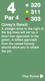 Hole 4 - The Barnfield Course .png