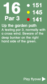 Hole 16 - The Barnfield Course .png