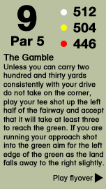 Hole 9 - The Gardner Course .png