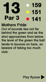 Hole 13 - The Gardner Course .png