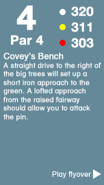 Hole 4 - The Towler Course .png