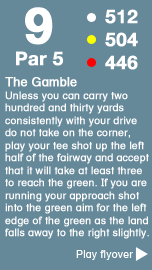 Hole 9 - The Towler Course .png