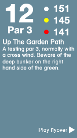 Hole 12 - The Towler Course .png