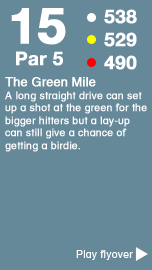 Hole 15 - The Towler Course .png