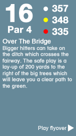 Hole 16 - The Towler Course .png